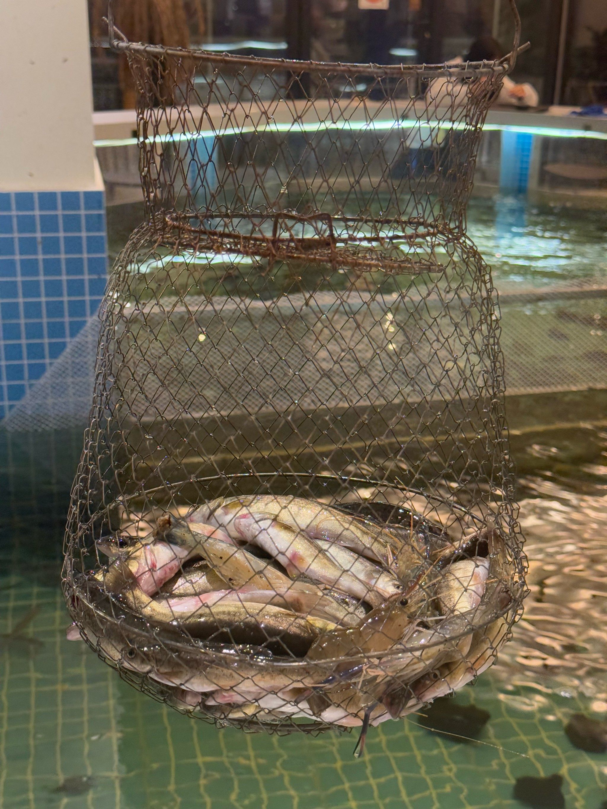 上海钓鱼场图片(上海钓鱼场所)