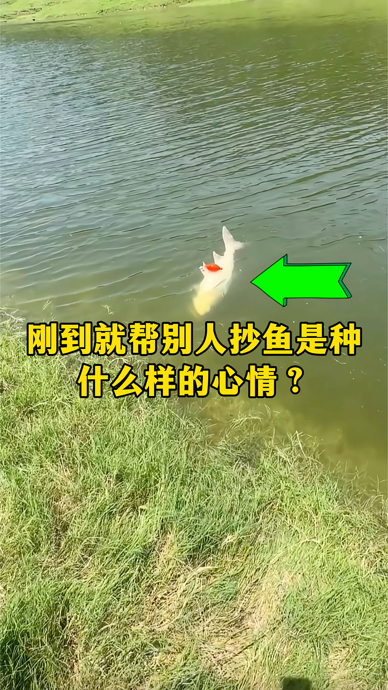 河边抄鱼技巧(抄鱼需要什么技巧)