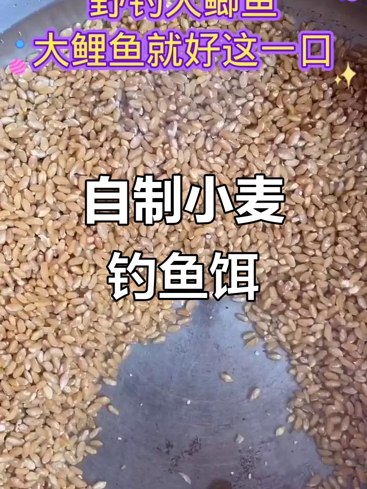 怎样鲫鱼饵料配方(鲫鱼饵料秘方)