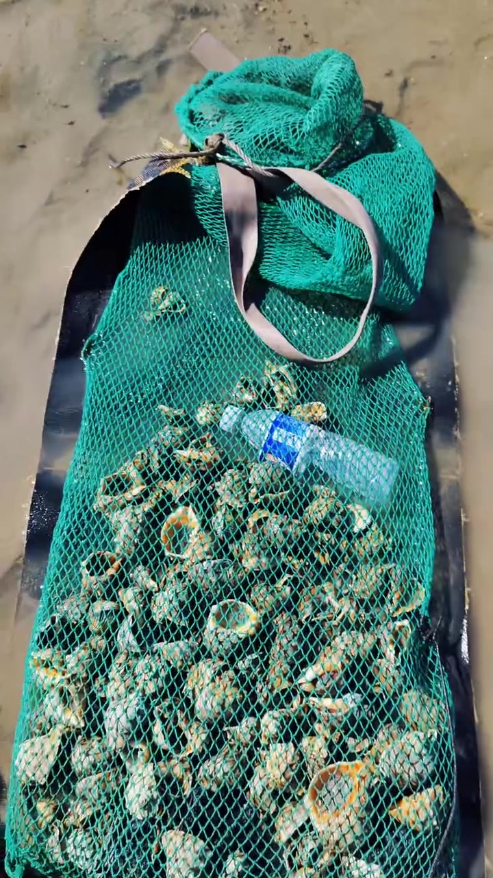干潮海钓(干潮钓鱼怎么样)