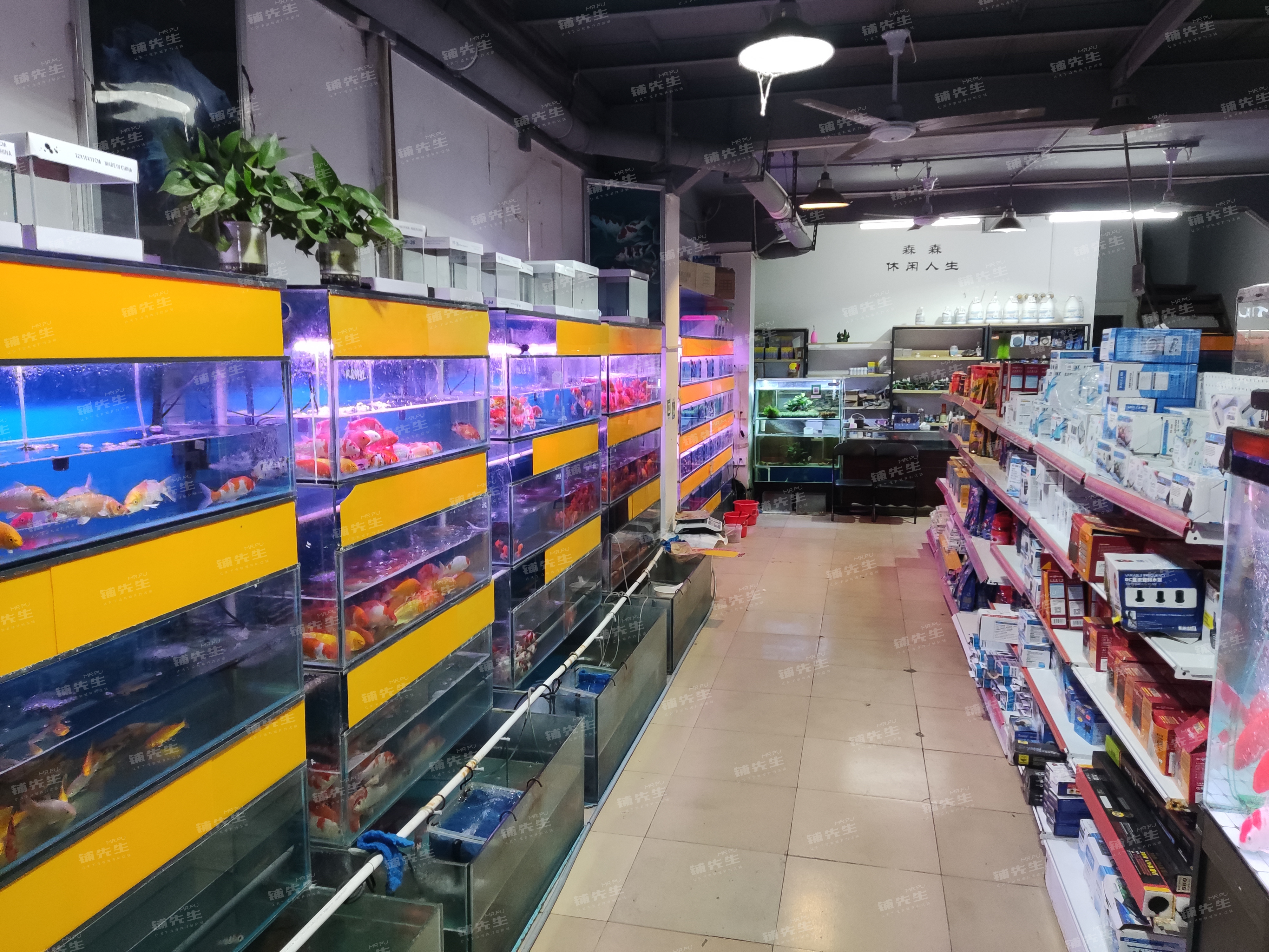 马山路森森渔具店(离我最近的渔具店)
