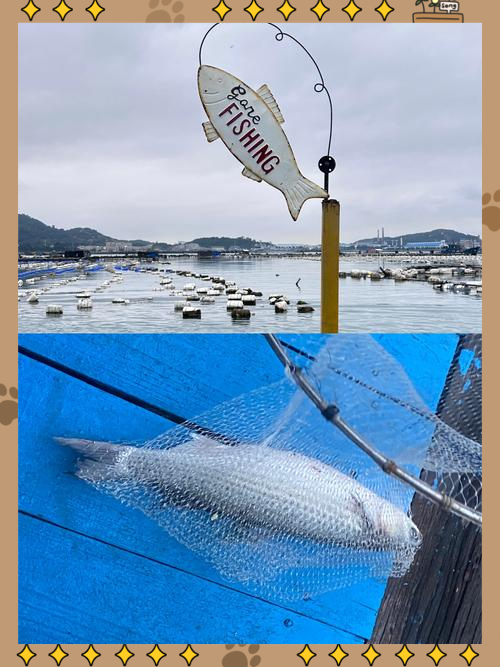 鱼排海钓钦州(渔排海钓)