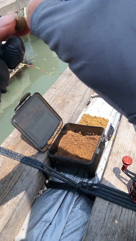 近海钓鱼需要手续(近海钓鱼常见鱼类)