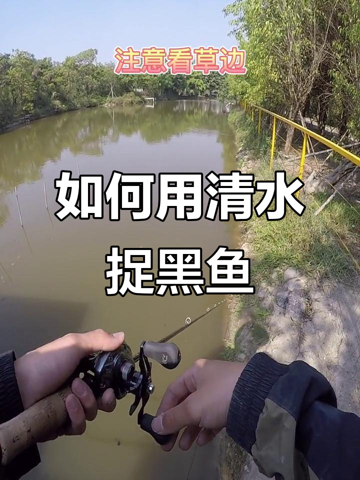 打黑鱼技巧视频教程(2020年打黑鱼视频)