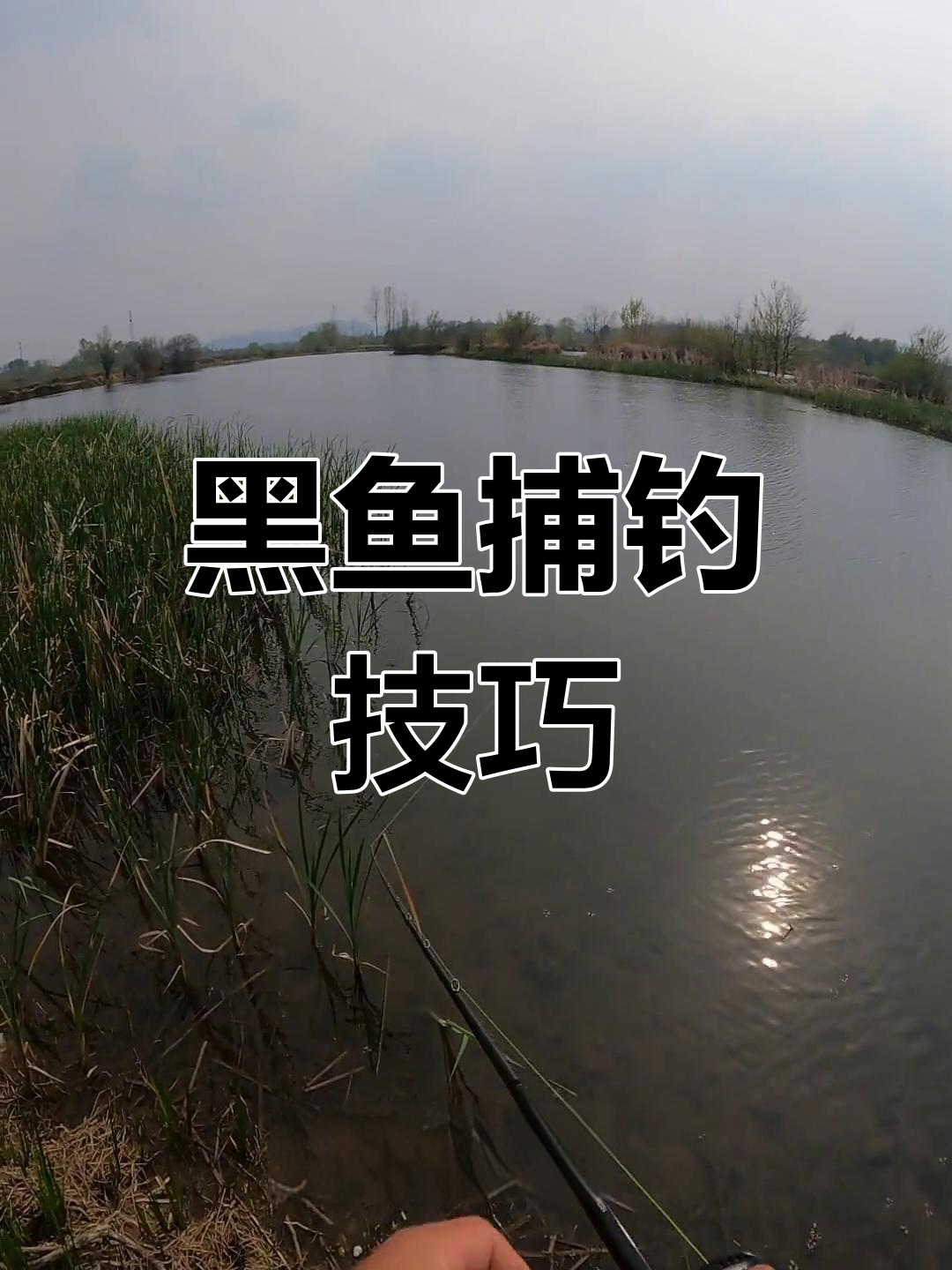 打黑鱼技巧视频教程(2020年打黑鱼视频)