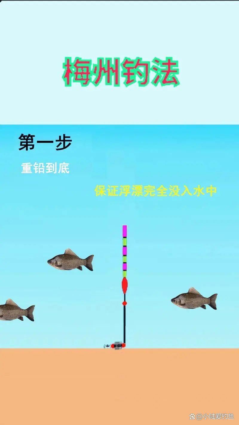 手竿看漂技巧(手竿看漂技巧图解)