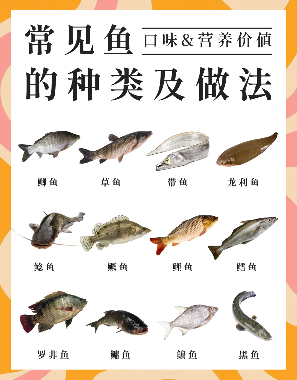鱼技巧讲解(鱼怎么练)