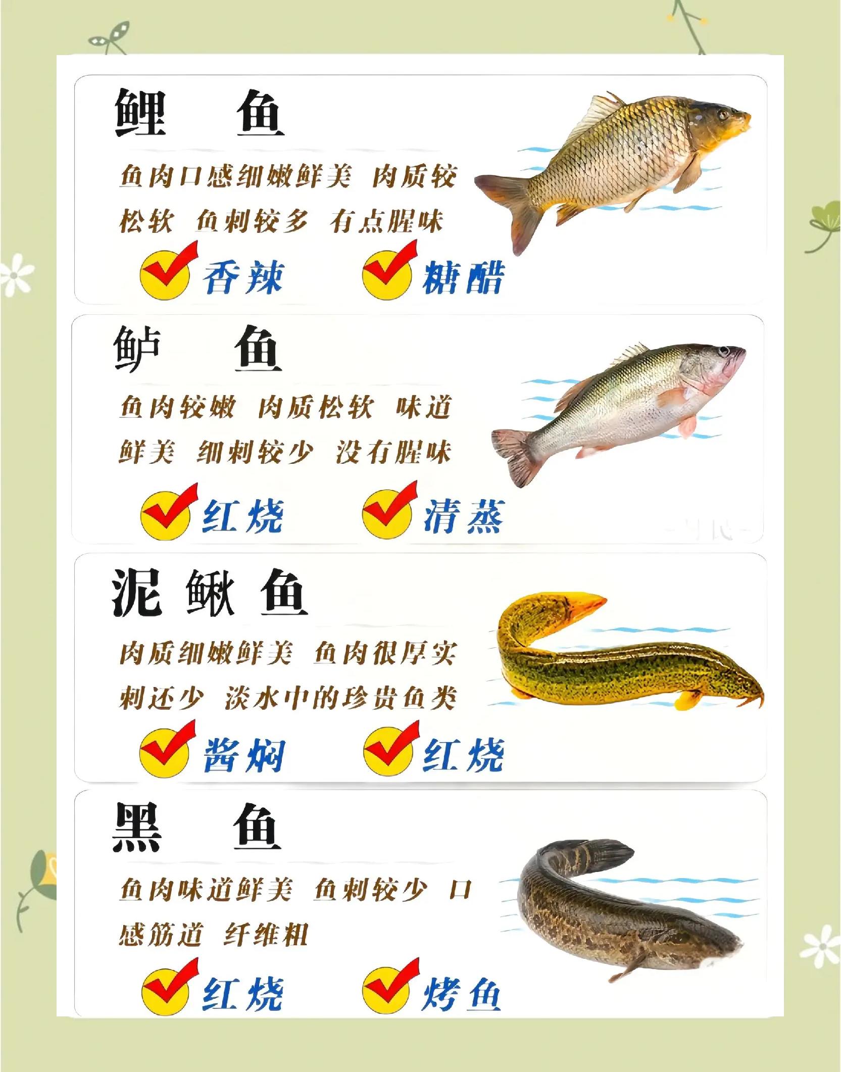 鱼技巧讲解(鱼怎么练)