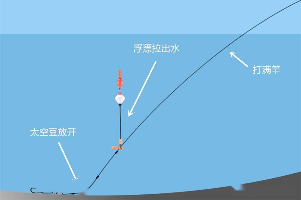 黑坑下药钓鱼技巧(黑坑下药鱼几天开口)