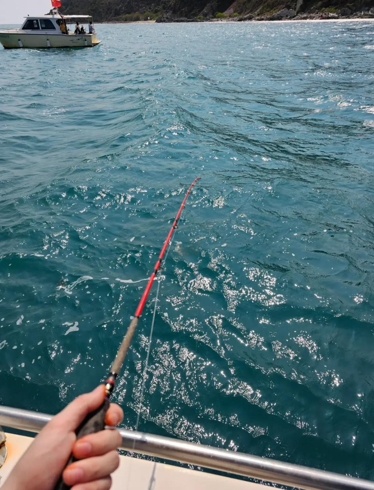 海钓指导app(海钓钓鱼软件)
