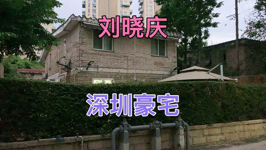 在线电视直播四海钓鱼(四海钓鱼视频在线直播)
