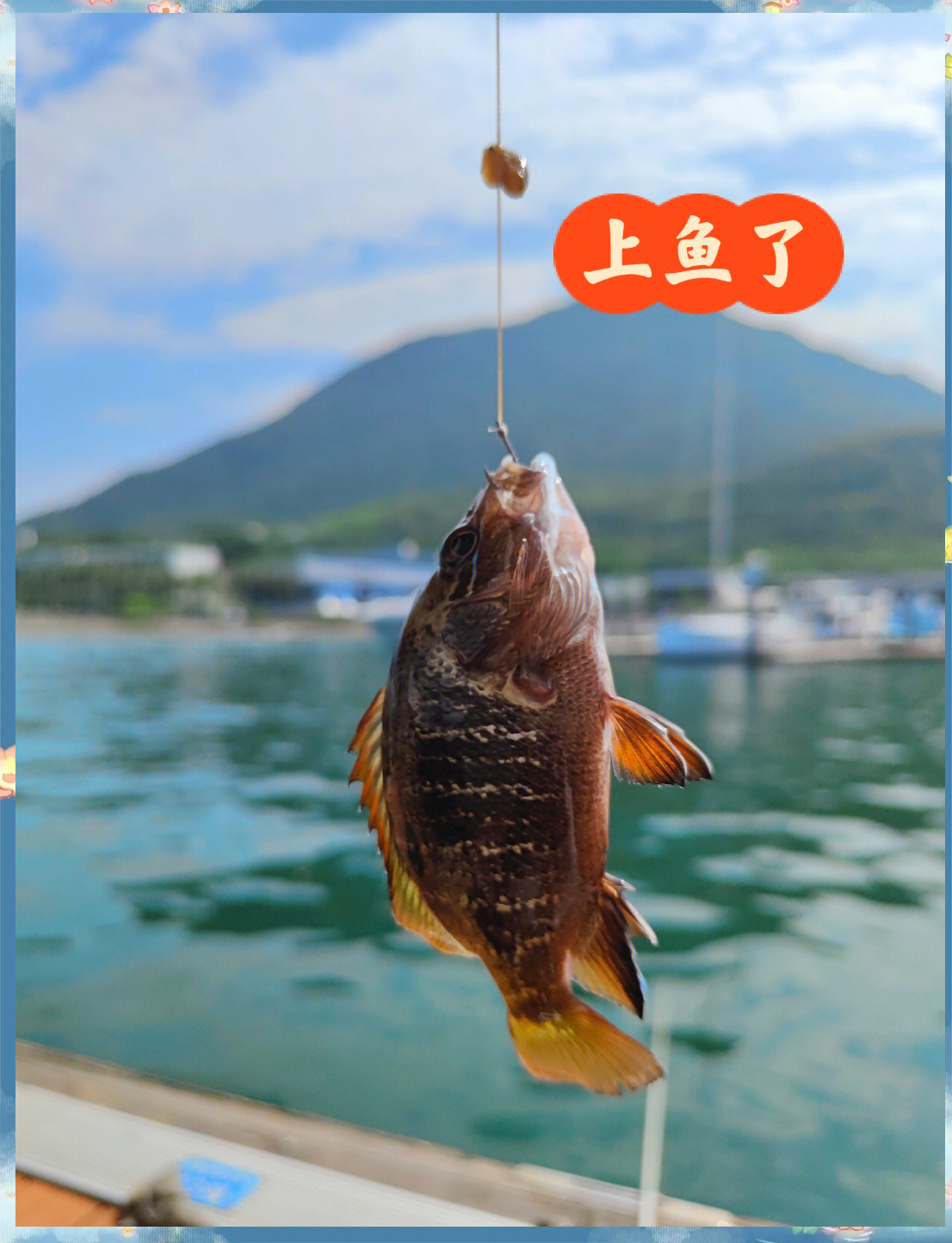 2017深圳海钓哪里好(深圳海钓2020)
