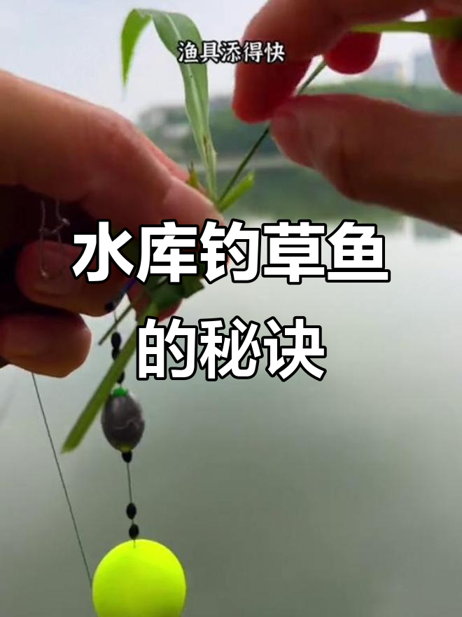 河南罗山水库钓鱼技巧(河南罗山水库钓鱼技巧和方法)
