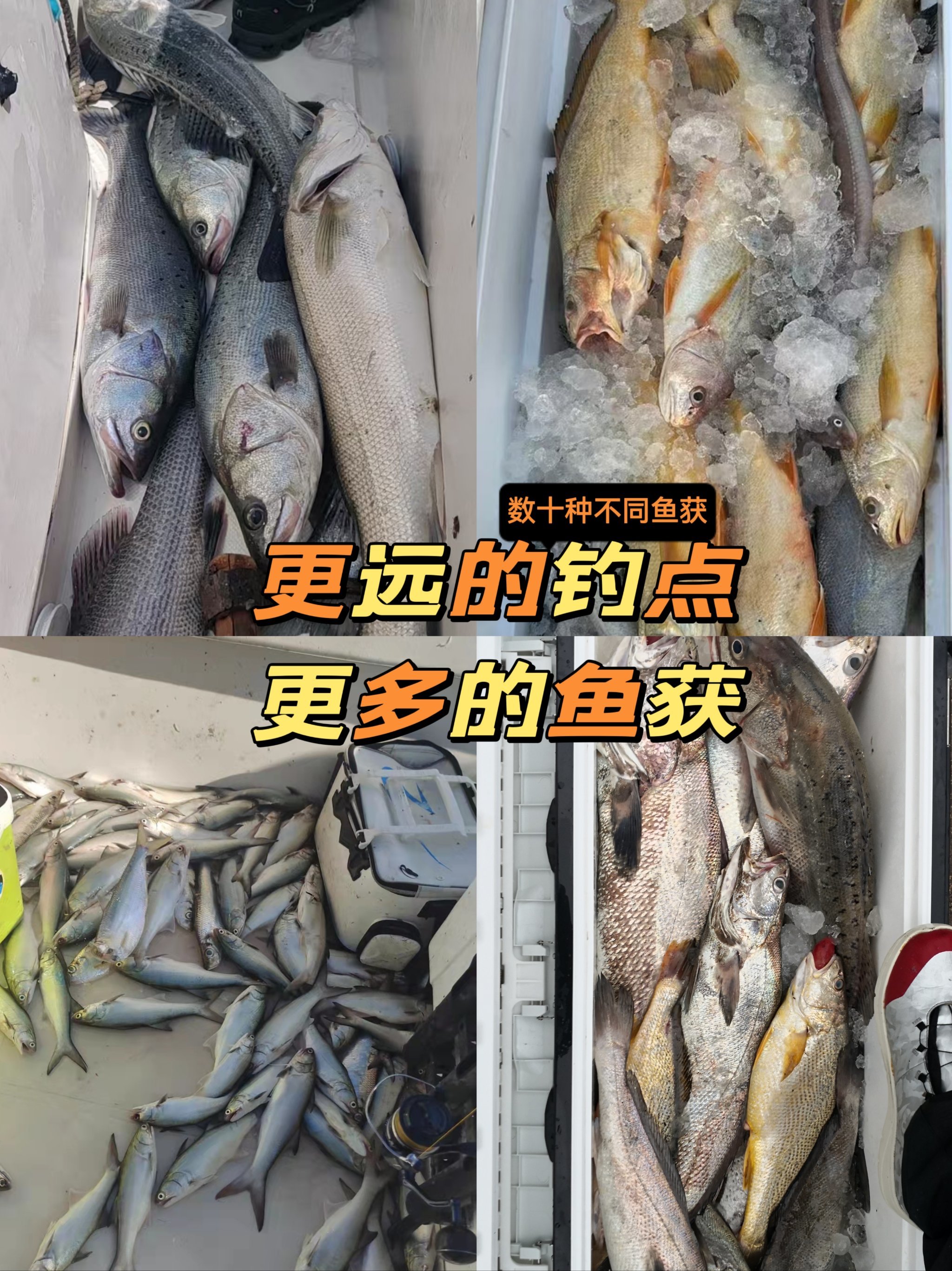 海钓比淡水钓好吗(钓海鱼和淡水鱼的鱼钩一样吗)
