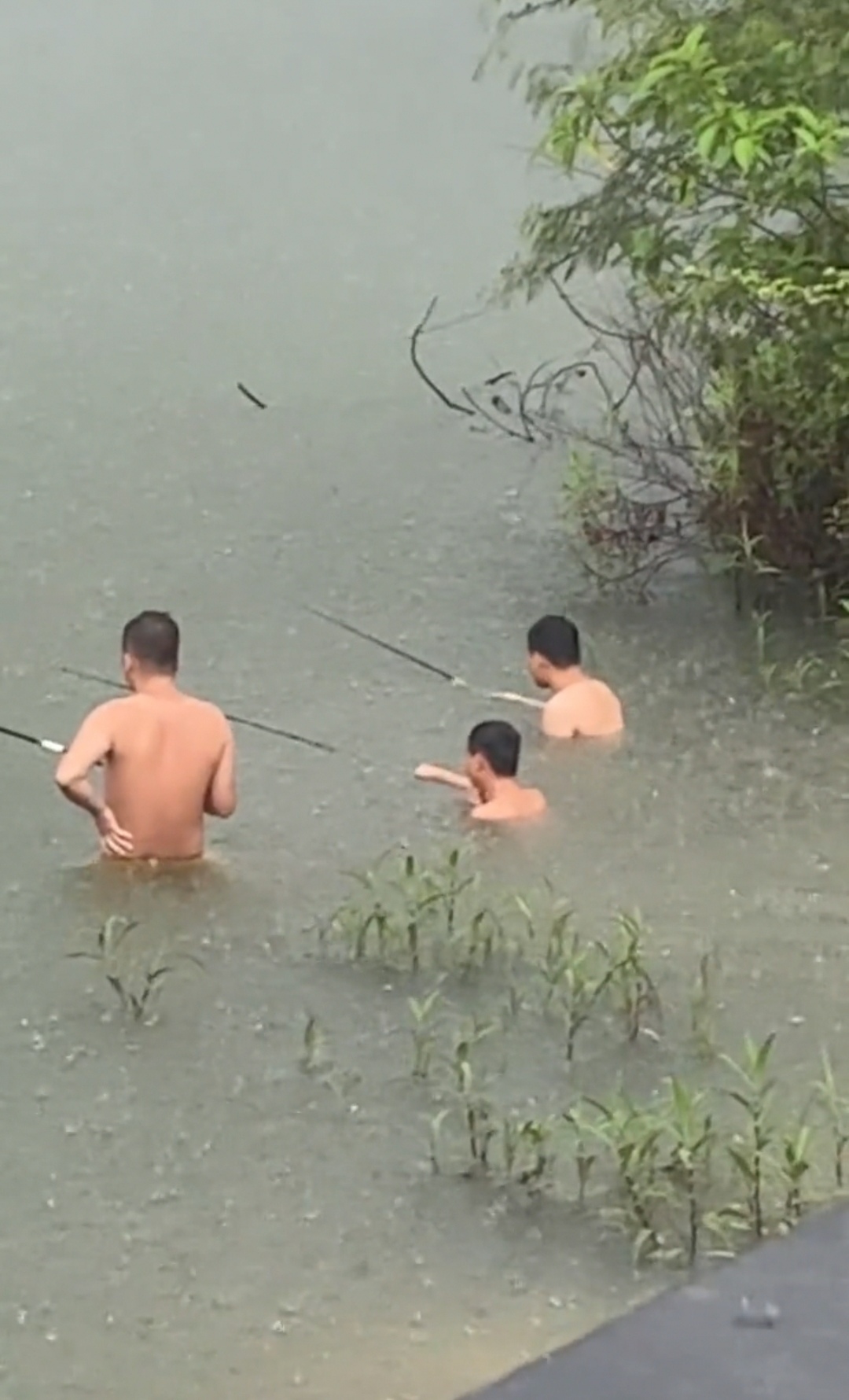 秋天下雨天钓鱼技巧(秋天下雨天怎么钓鱼)