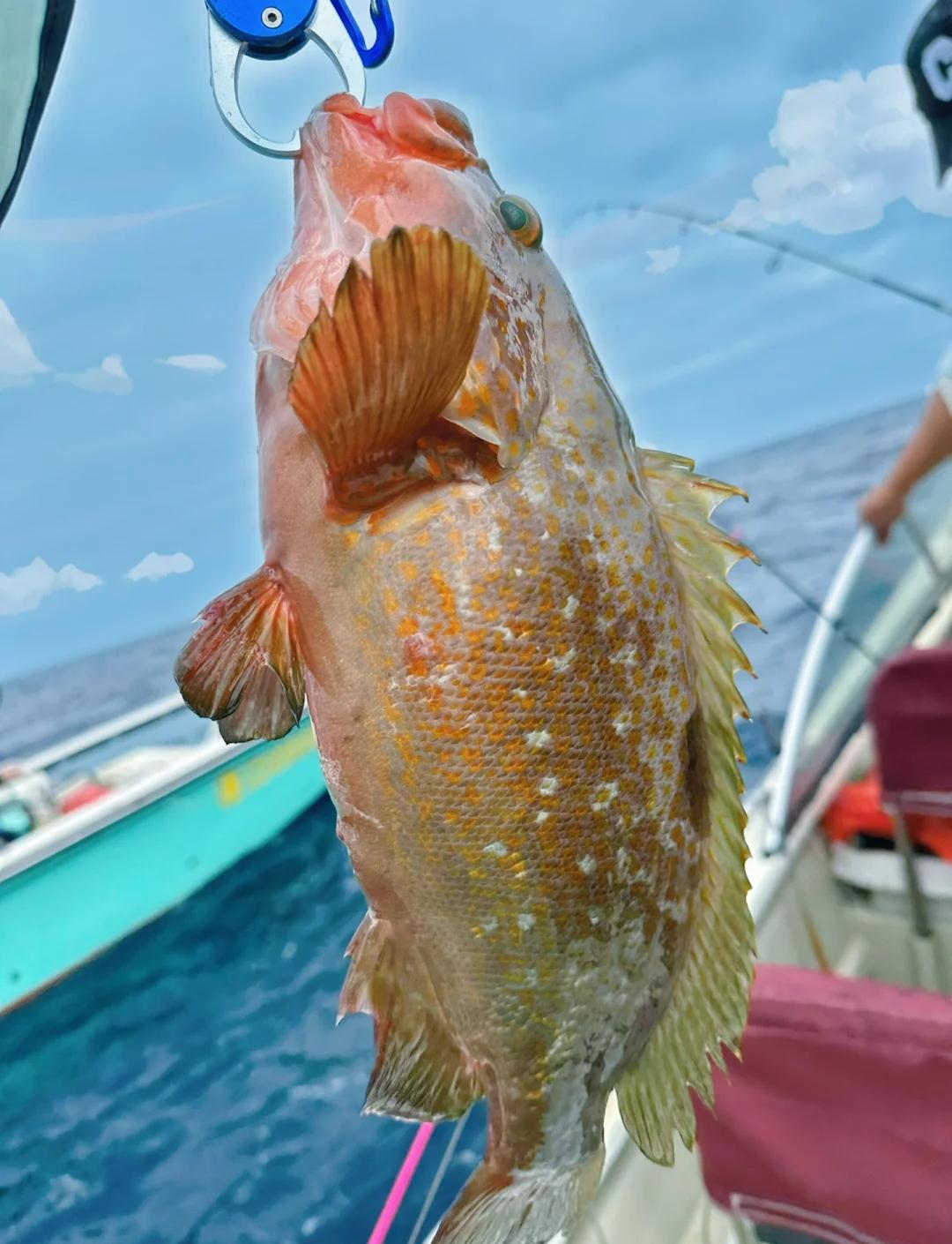屋形船海钓记(出海海钓收费价目表)