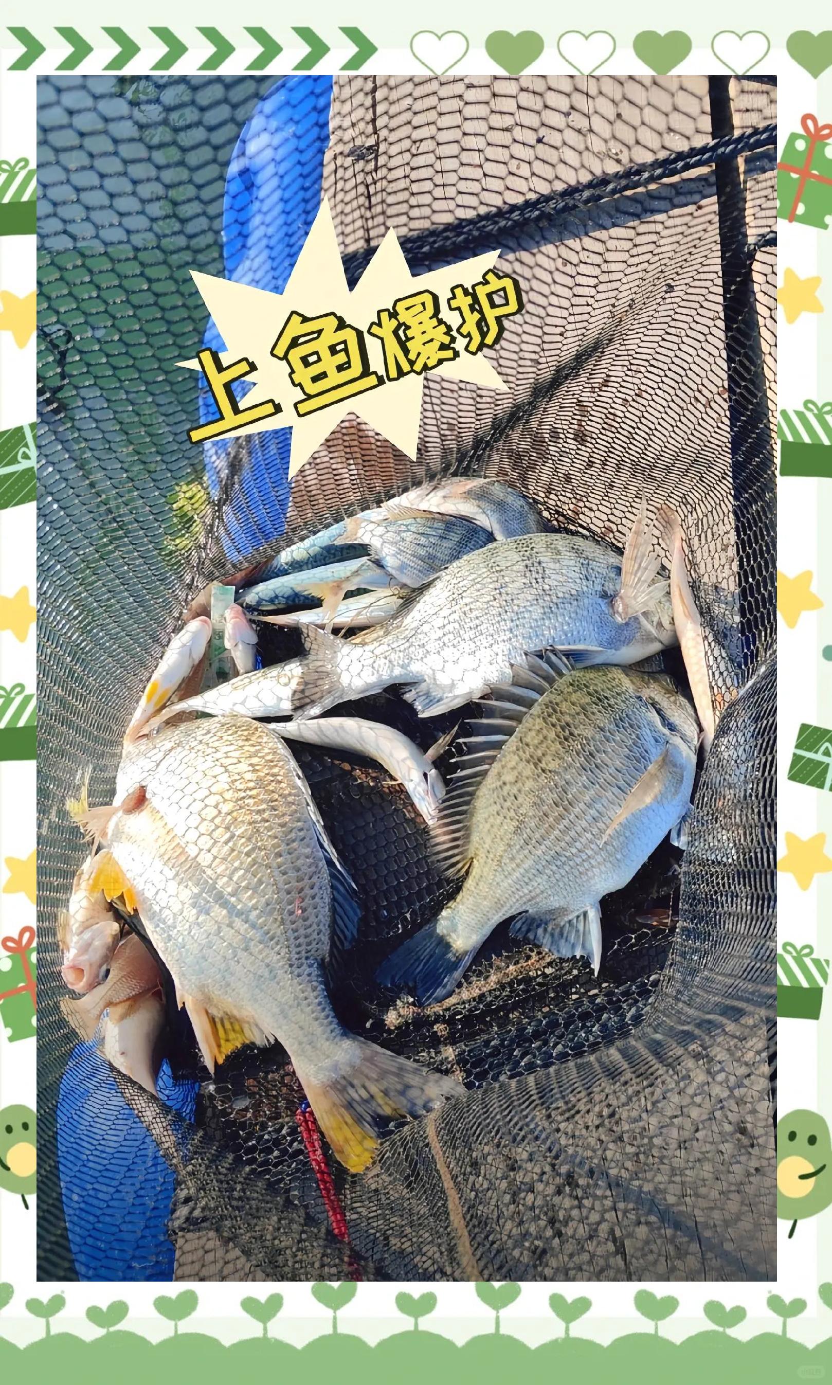 包谷饵料制作方法(包谷饵料制作方法大全)