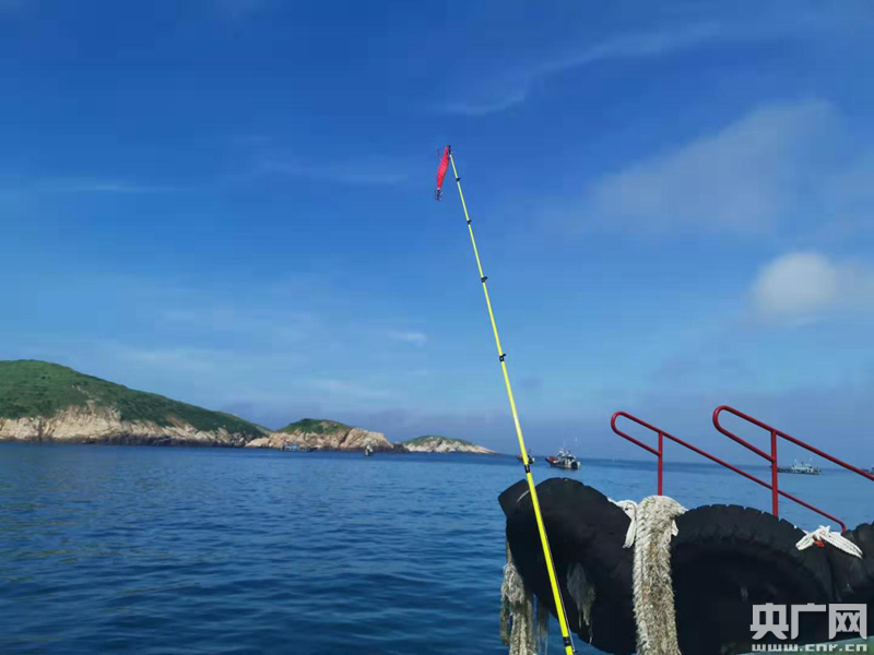启东哪里有租船海钓(启东海钓租船联系方式)