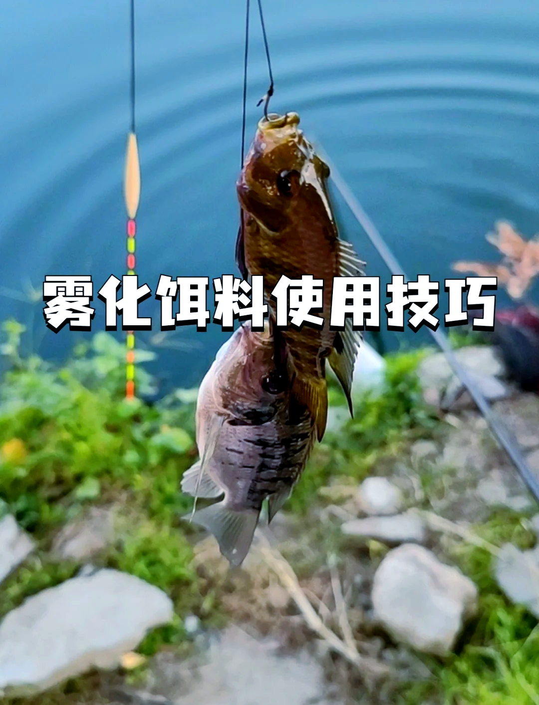冬季怎么调饵料(冬季饵料如何搭配)