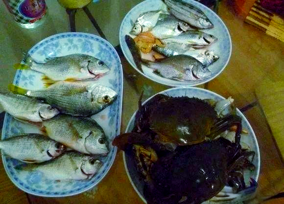 厦门市海钓(厦门市海钓点)
