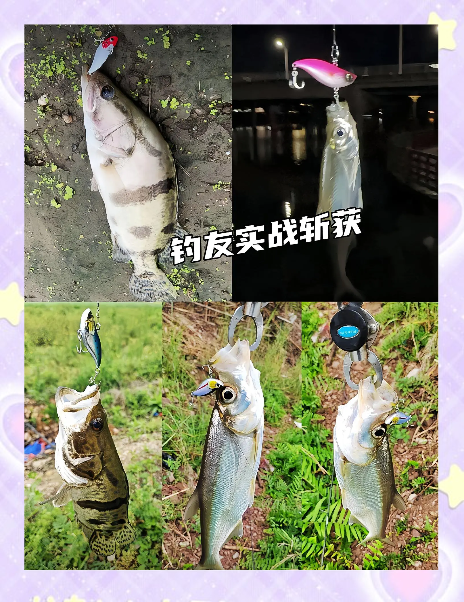 隔夜饵料钓鱼绝招(隔夜饵料加新饵料)