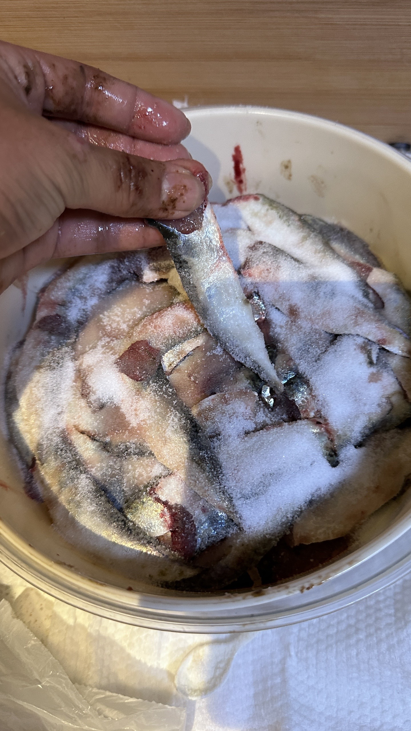 矶钓新手饵料(矶钓练饵配方和制作教程)