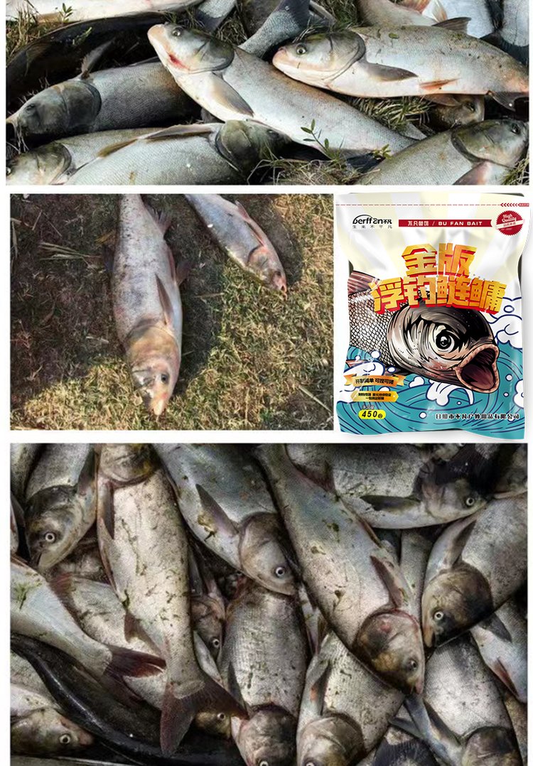 水库钓大头鱼技巧(水库钓大头鱼用什么饵料)