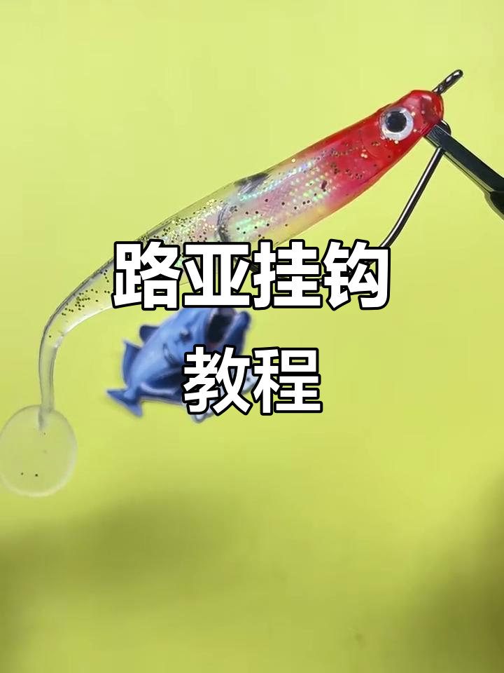 钓钩穿饵技巧(钓鱼怎么穿饵料)