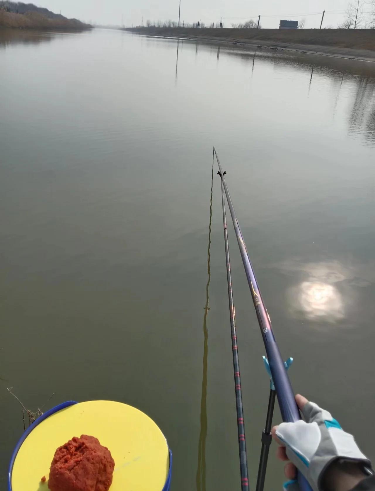 夏季钓草鱼技巧视频(夏季钓草鱼技巧视频讲解)