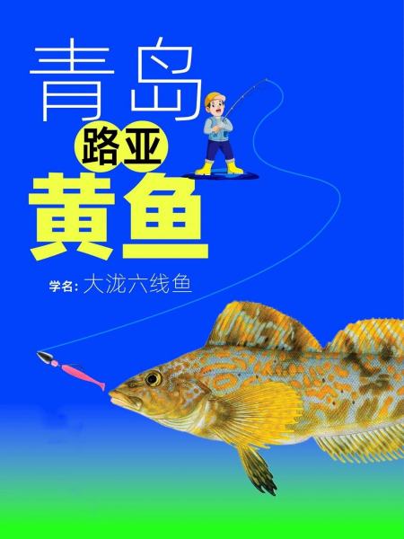 海钓黑黄鱼技巧(海钓黑黄鱼技巧图解)