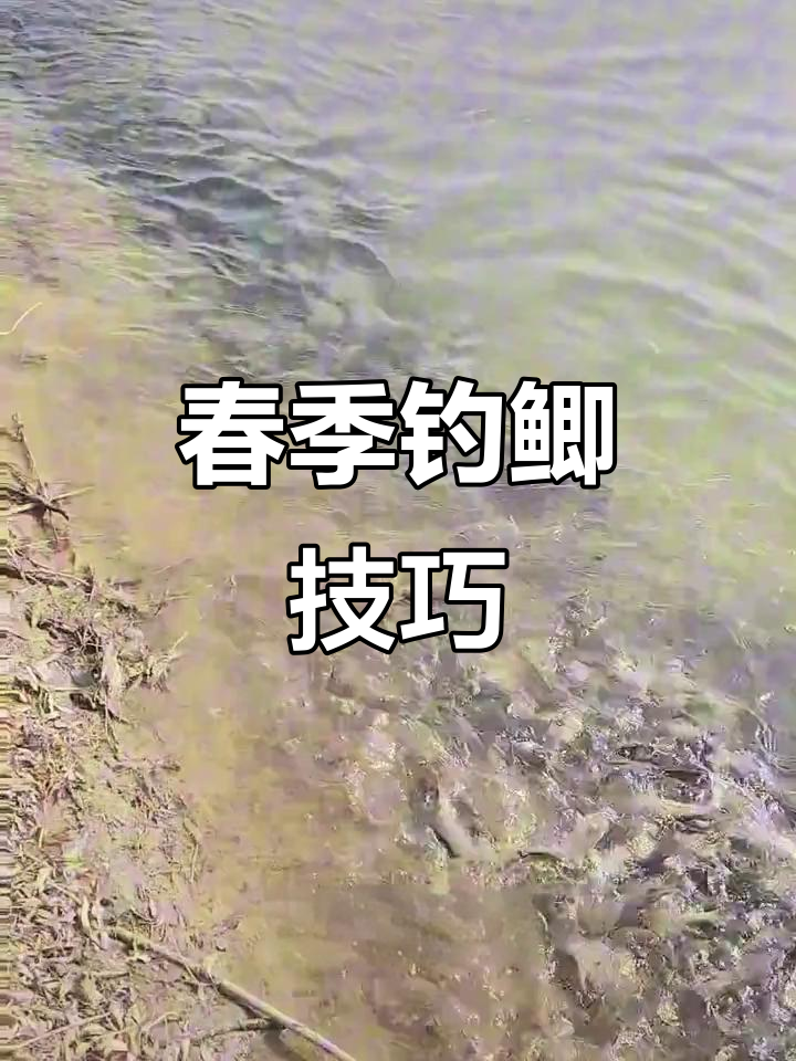 春季打窝技巧(春季打窝用什么饵料)