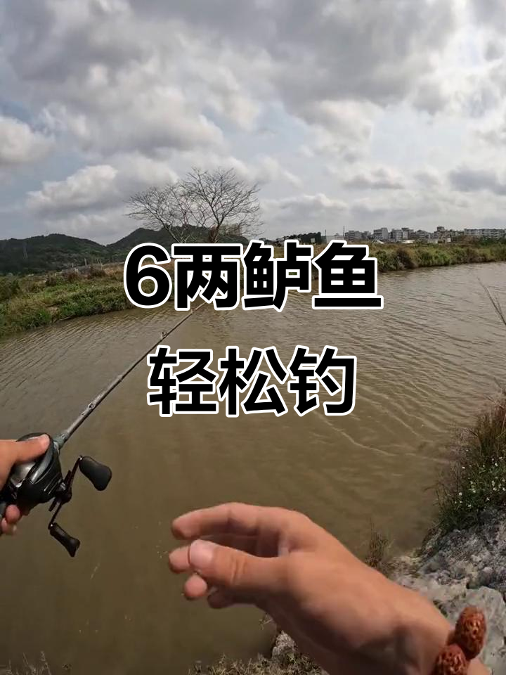 海杆钓淡水鲈鱼技巧(海竿钓鲈鱼用什么饵最好)