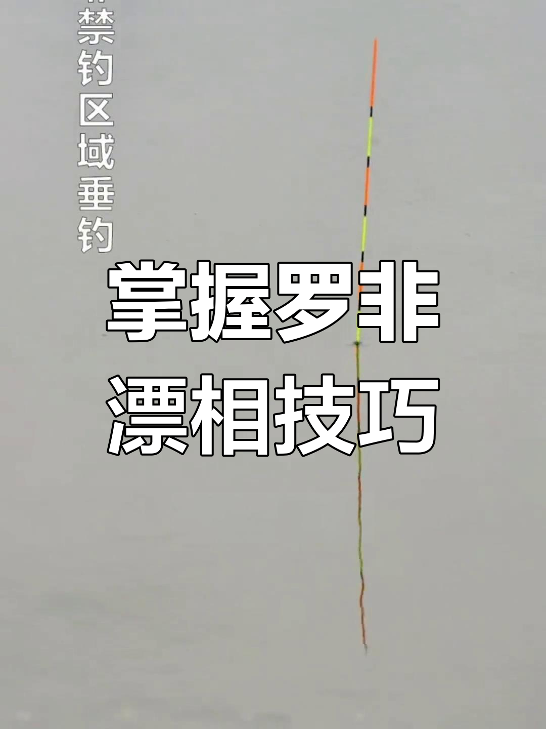钓罗非鱼的两种技巧(钓罗非技巧大全)