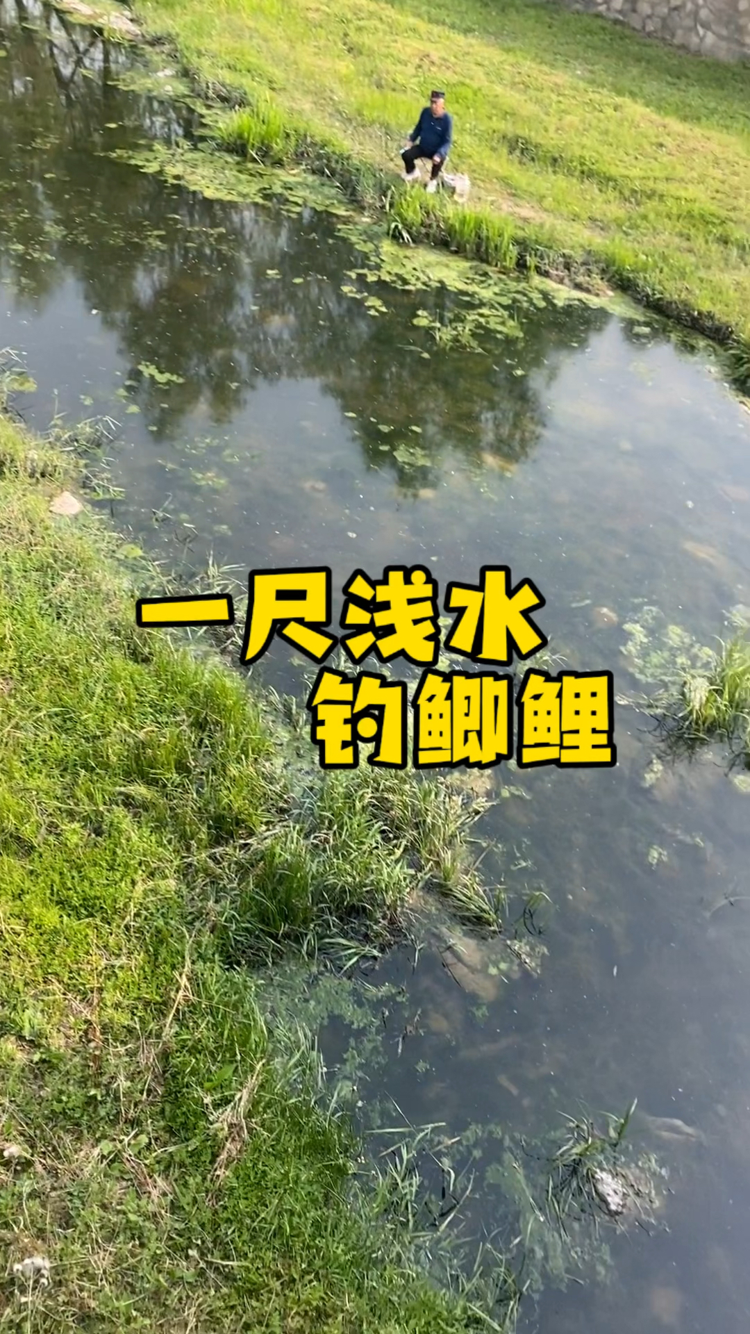 冬浅水钓鲫鱼技巧(冬季浅水钓鲫鱼技巧)