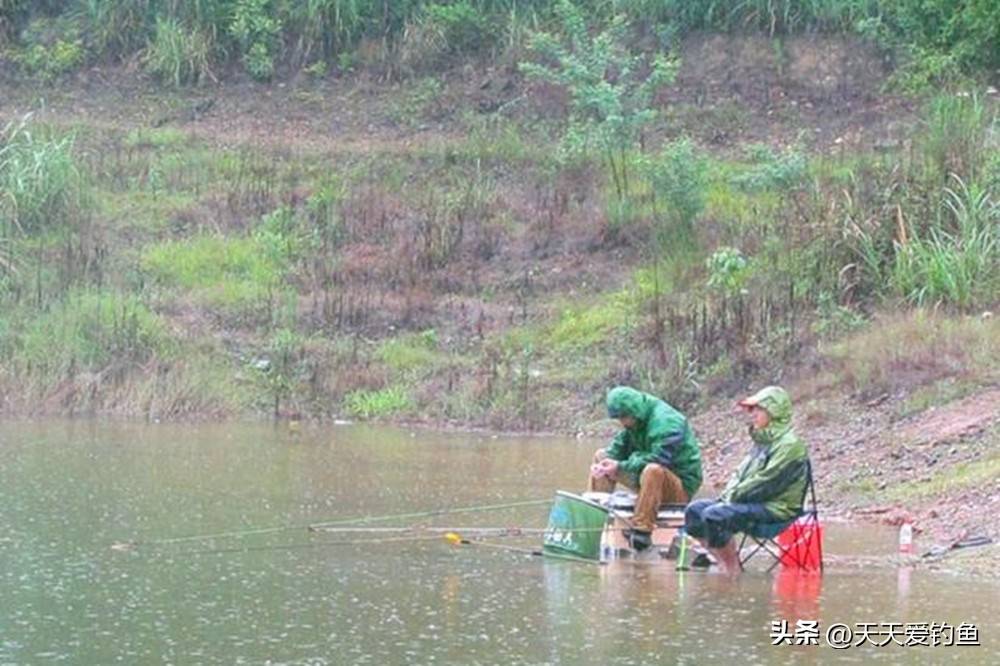 秋季阴天钓鱼技巧(秋季阴天钓鱼注意什么)