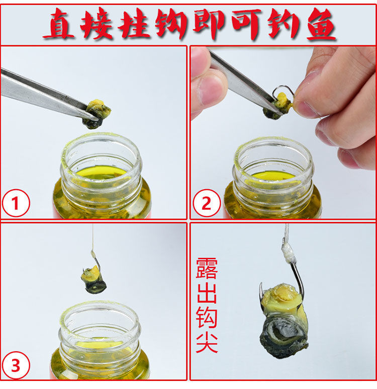 螺肉钓鱼技巧(螺肉钓鱼技巧图解)