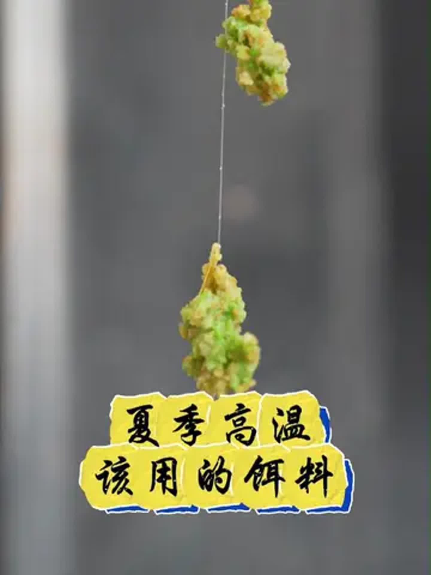 入夏钓鱼用是饵料(夏季钓鱼用什么饵料搭配是最好的)