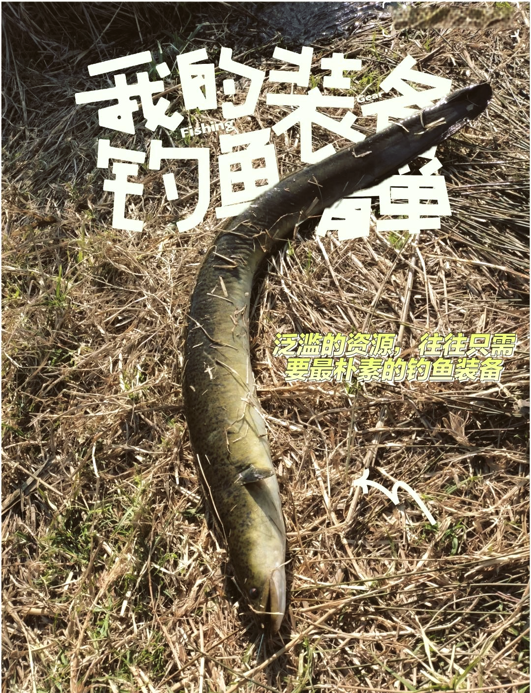 怎样钓河鳗呢技巧(怎样钓河鳗呢技巧视频)