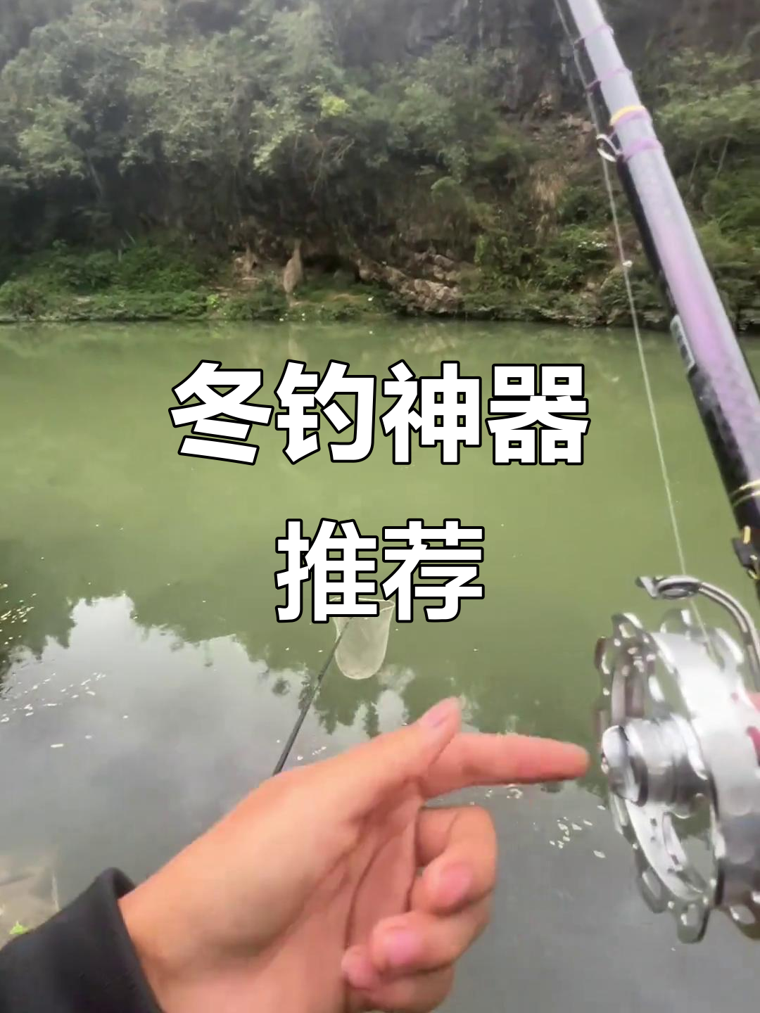冬钓大棚锚鲤鱼技巧(冬钓大棚鲤鱼用什么漂)