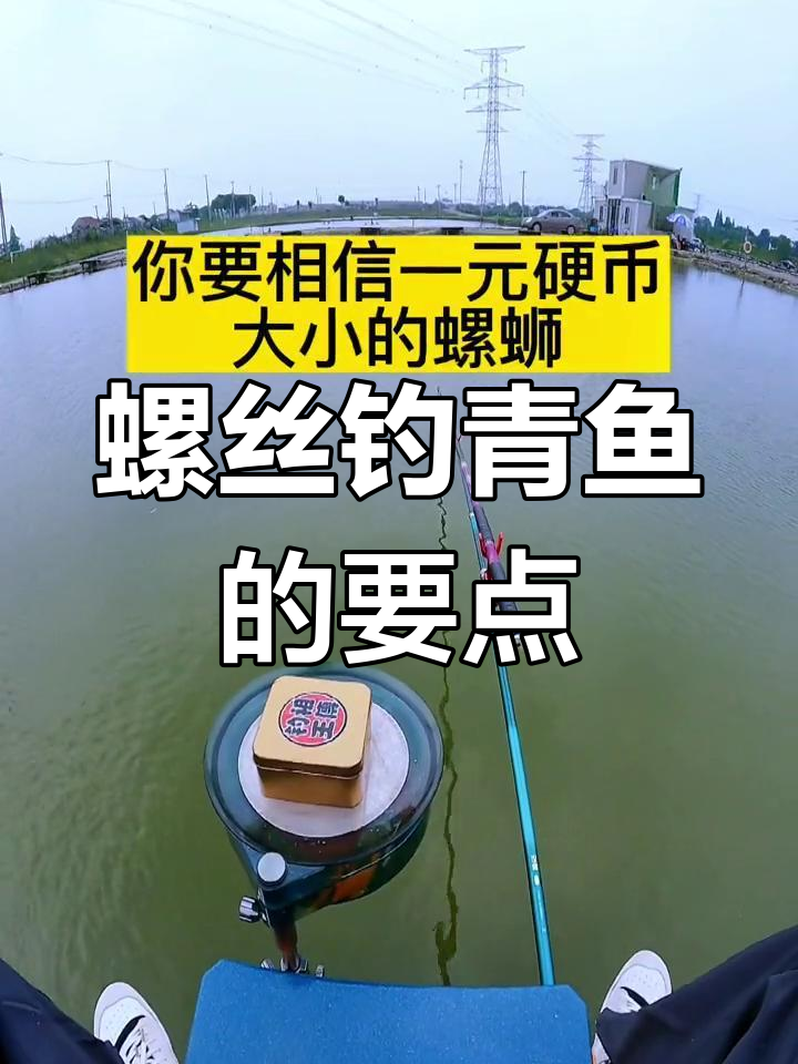 鱼池钓青鱼有技巧吗(池塘钓青鱼用什么打窝)