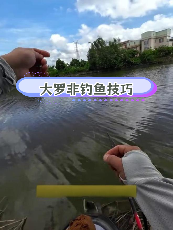 冬季野钓罗非饵料技巧(冬季野钓罗非鱼饵料配方)
