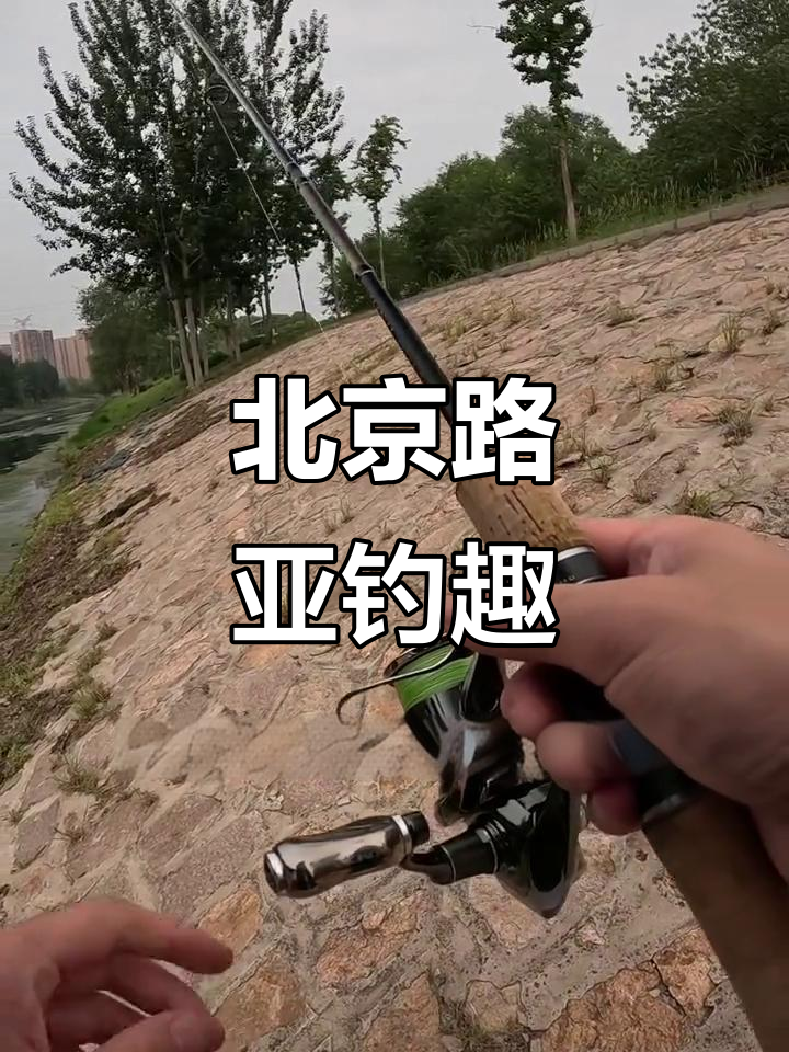 路亚海鱼标点(海边路亚标点)