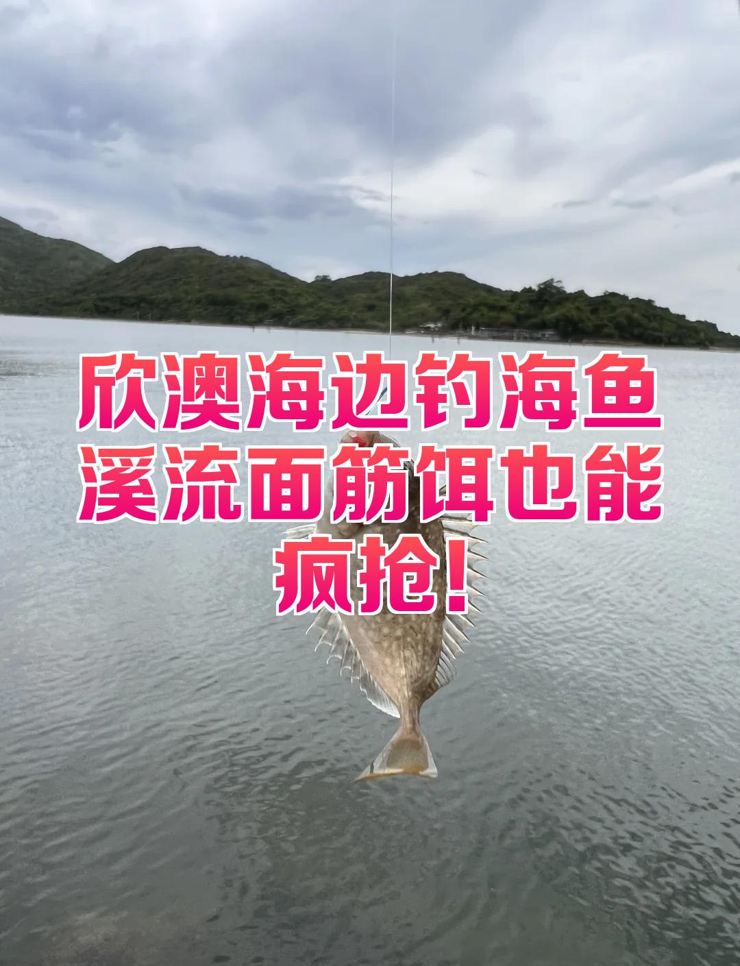 海边的海钓位置(海边钓鱼去哪里好)
