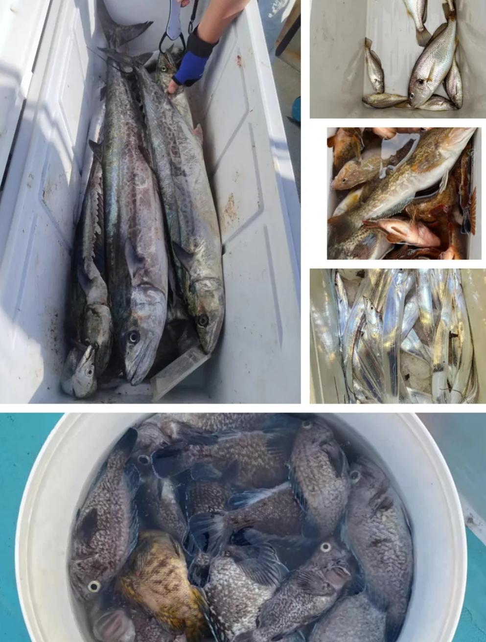 大连冬天可以海钓吗(大连冬天可以海钓吗?)