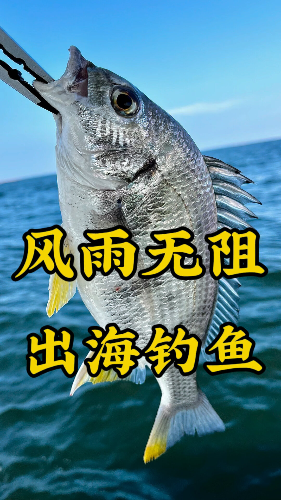 北海钓鱼交钱吗(北海出海钓鱼一次多少钱)