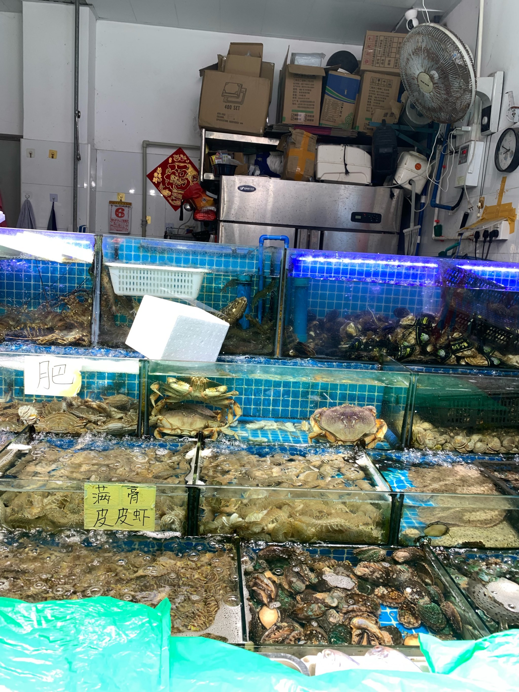 北票附近渔具店位置(附近渔具店地图)