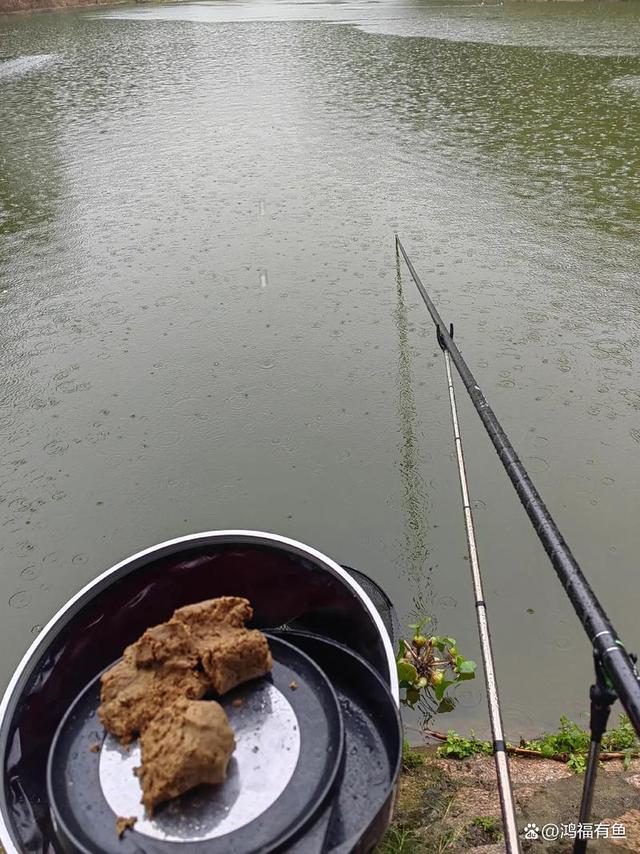 初冬阴天传统钓鲫鱼技巧(冬天阴天钓鲫鱼钓多深水好)
