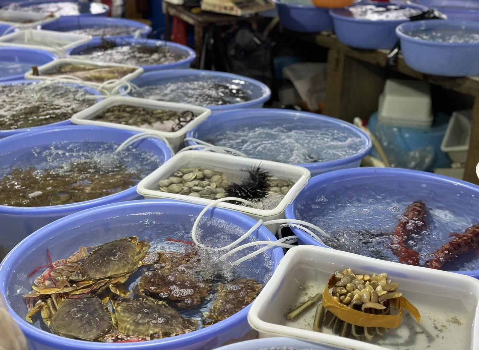 涠洲岛海钓网(涠洲岛海钓用什么鱼竿鱼饵)