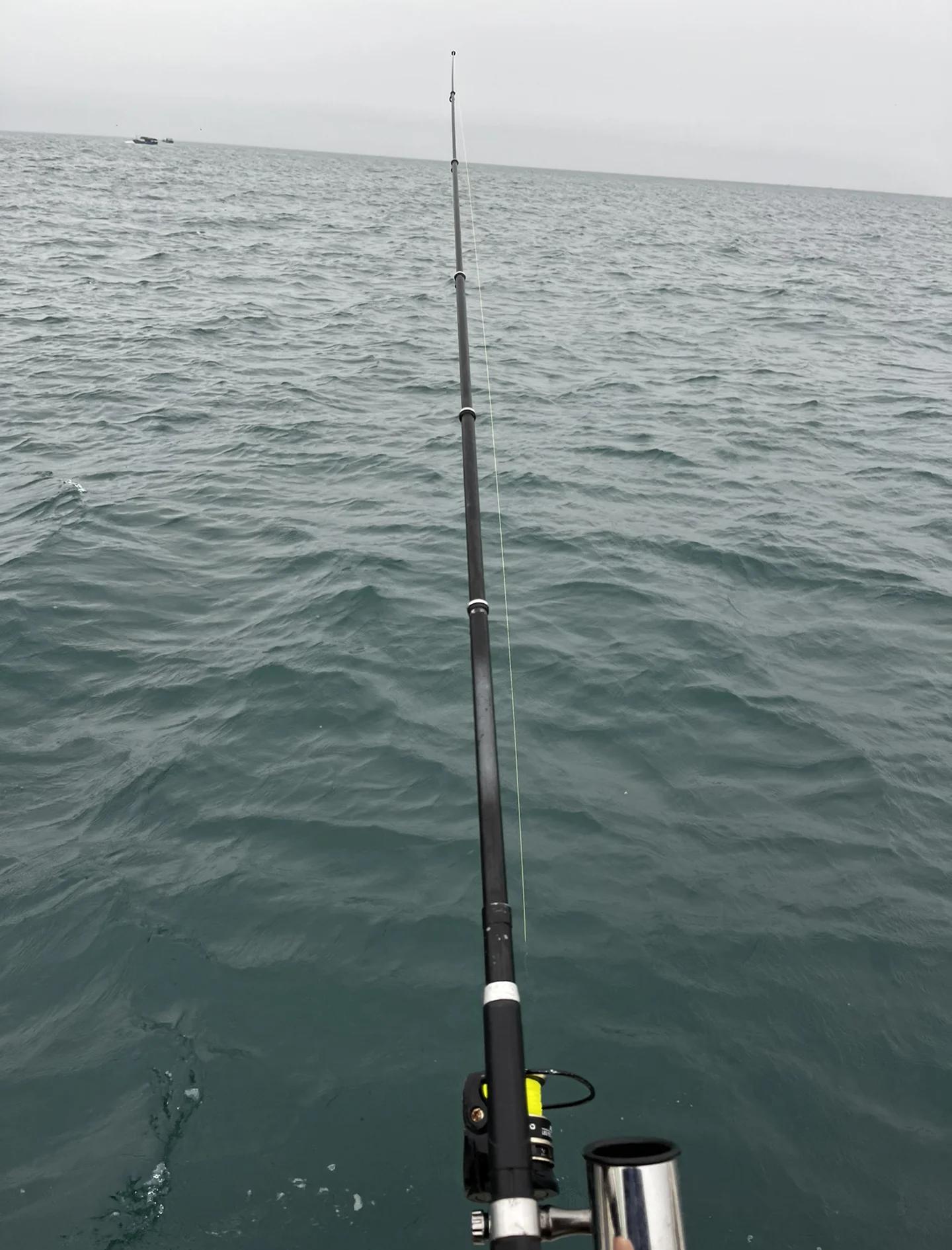 涠洲岛海钓网(涠洲岛海钓用什么鱼竿鱼饵)