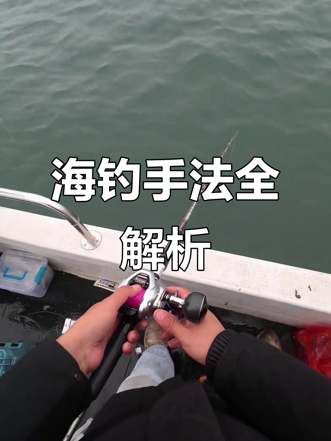海钓乌贼技巧(乌贼钓法)